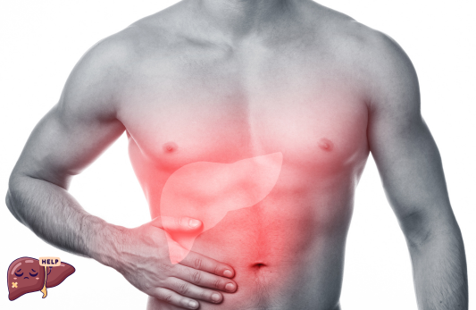 Immune Liver Function Test