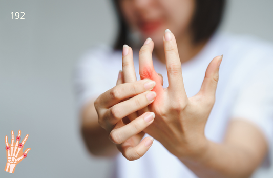 Lupus & Immune Health Test