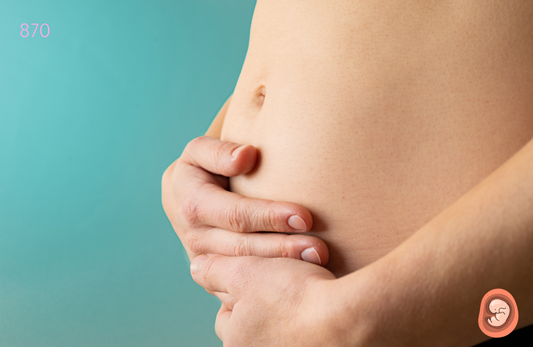 First Trimester Pregnancy Follow-up Package