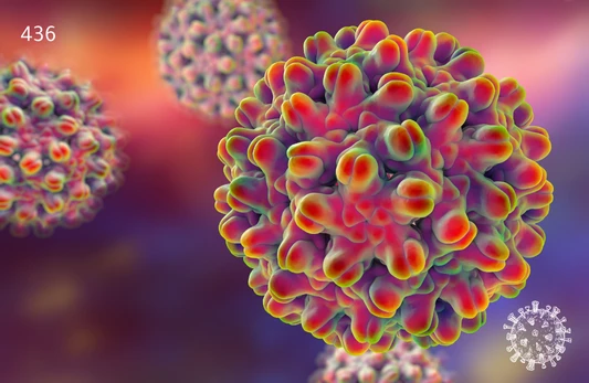 Hepatitis B Immune Status Test