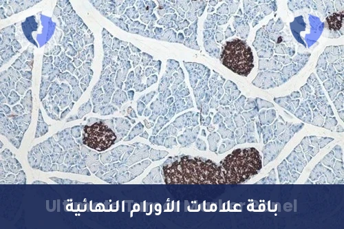 باقة فحص الكيمياء النسيجية المناعية (IHC) - 20 مؤشرًا - الباقة القصوى لتحليل الأورام