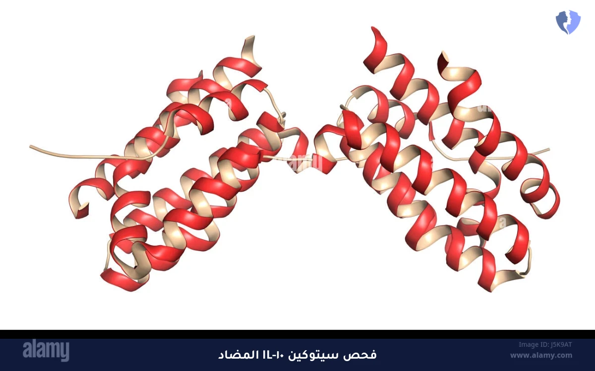تحليل إنترلوكين 10 (IL-10) - فحص توازن الجهاز المناعي