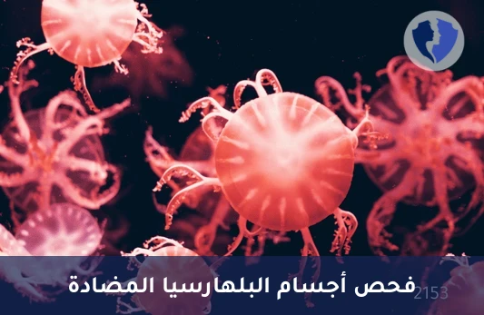 تحليل الأجسام المضادة للبلهارسيا (Anti Bilharzial Abs) - فحص أجسام البلهارسيا المضادة