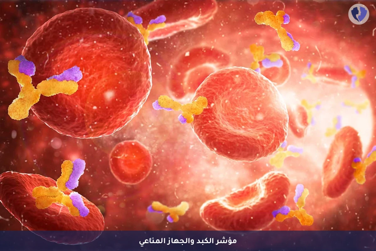تحليل الجلوبيولين في المصل (Globulin) - فحص بروتينات المناعة (الجلوبيولين)