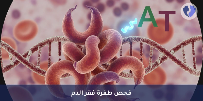 تحليل طفرة فقر الدم المنجلي (HBB) C.20A>T - فحص طفرة الأنيميا المنجلية