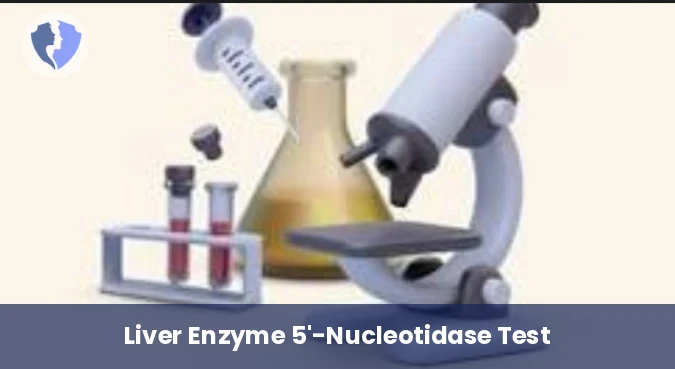 Check Liver and Bile Duct Health - 5'-Nucleotidase Test