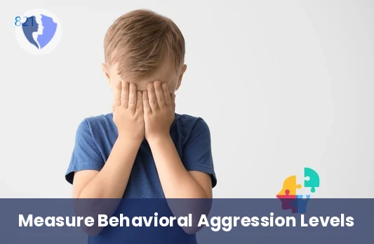 Analyze Behavioral Patterns - Aggressive Behavior Scale