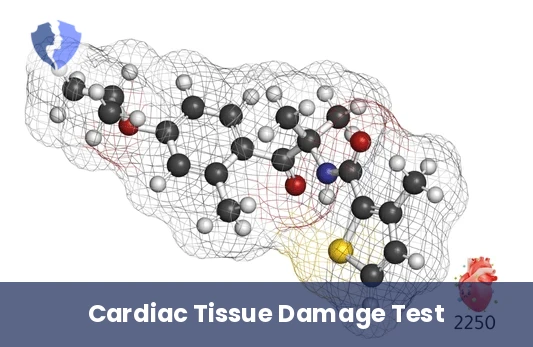 Heart Muscle Damage Test - Alpha-Hydroxybutyric Dehydrogenase (Alpha-HBDH) Test