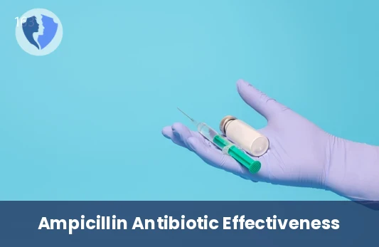 Ampicillin Treatment Monitor - Ampicillin Test