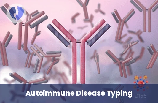ENA Antibodies Typing - Anti-Extractable Nuclear Antigen (ENA) Antibodies Typing