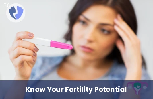 Check Your Ovarian Reserve - Anti-Müllerian Hormone (AMH) Test