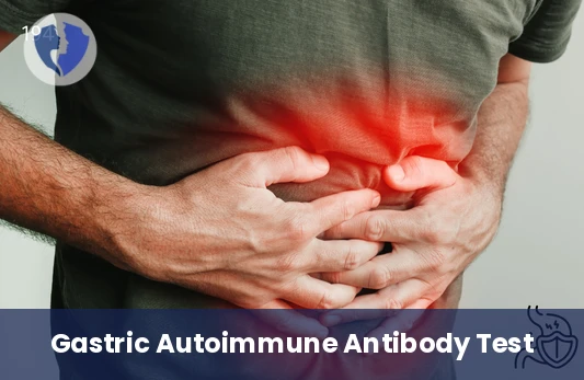 Stomach Health & Absorption Test - Anti-Parietal Cell Antibodies Test