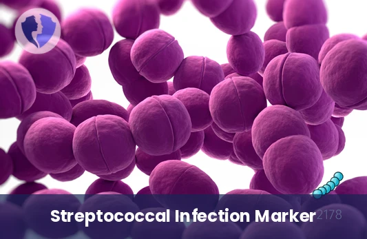 Streptococcus Infection Detection - Anti-Streptococcal Hyaluronidase (ASH) Test