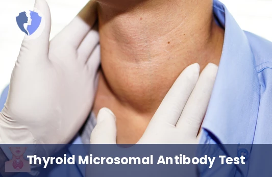Thyroid Antibody Check - Anti-Thyroid Microsomal Antibodies (ATMA) Test