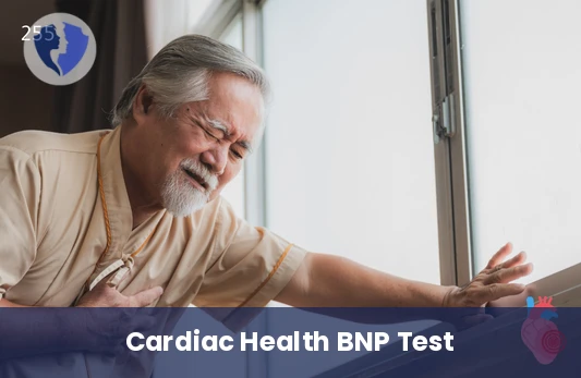 Monitor Your Heart Health - B-type Natriuretic Peptide (BNP) Test