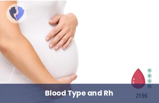 Blood Group and Rh Typing - Blood Grouping and Rh Typing