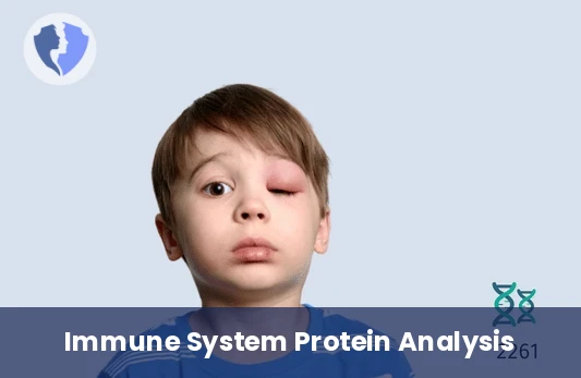 C1 Esterase Inhibitor Test - C1 Esterase Inhibitor Protein Test