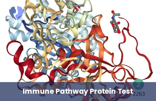 C2 Complement Component Test - C2 Complement Test