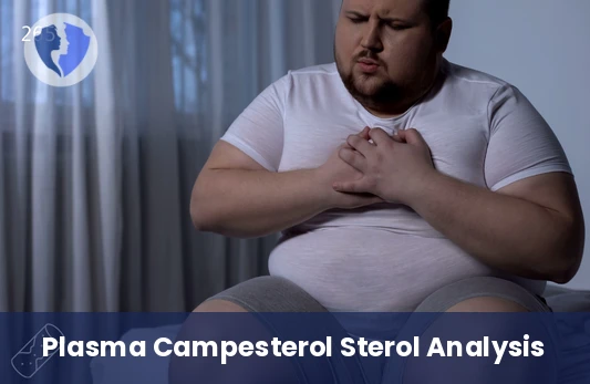 Discover Your Campesterol Levels - Campesterol Plasma Test