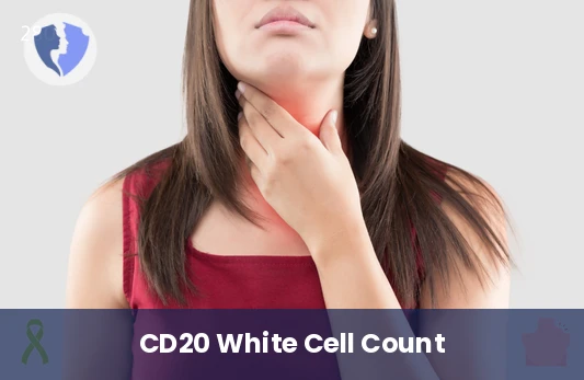 Specialized Immune Cell Monitoring - CD20 Cell Count Test