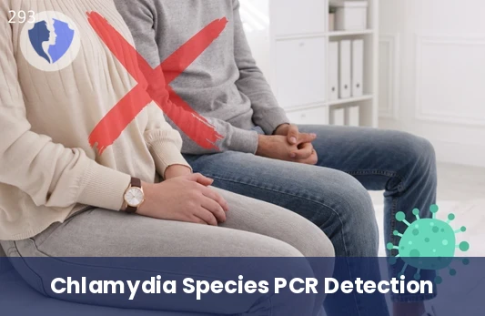 Chlamydia Species PCR Test