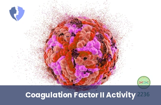 Coagulation Factor II Test - Coagulation Factor II Activity Test