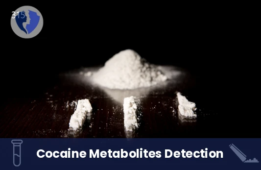 Cocaine Confirmation Urine Test - Cocaine Metabolites Confirmation Urine Test