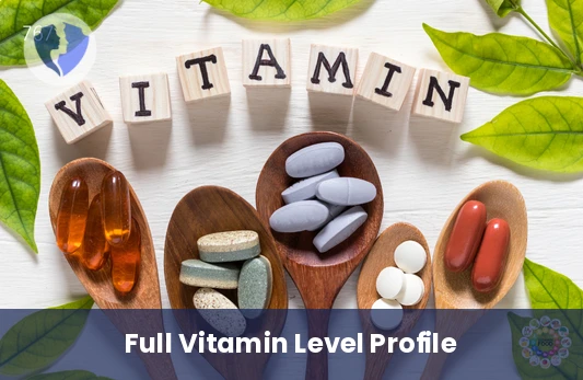 Comprehensive Vitamin Profile Check - Comprehensive Vitamin Profile Test