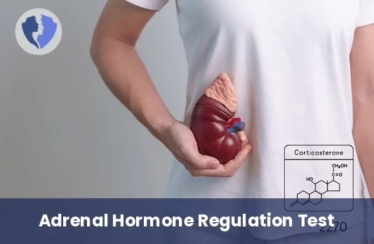 Corticosterone Hormone Test - Corticosterone Test