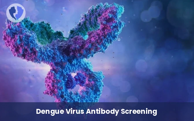 Dengue Fever Immunity Test - Dengue Virus IgG Antibody Test