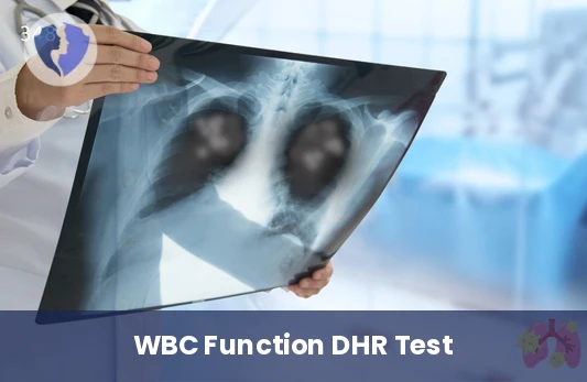 Immune Cell Efficiency Test - Dihydrorhodamine (DHR) Test