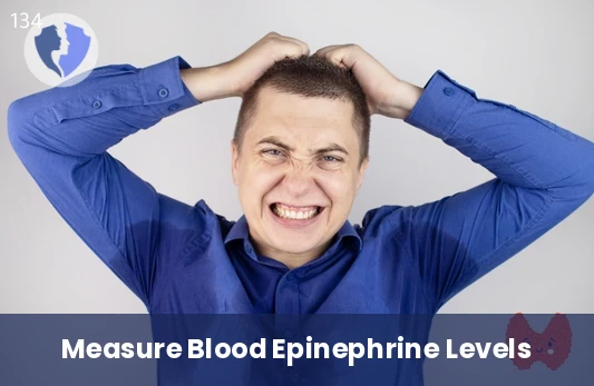 Epinephrine Vital Stress Check - Epinephrine Test