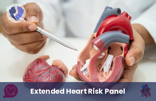 Extended Heart and Artery Screening - Extended Cardiovascular Disease (CVD) Panel