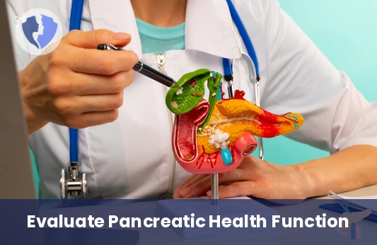 Pancreatic Elastase Stool Test - Fecal Elastase Test