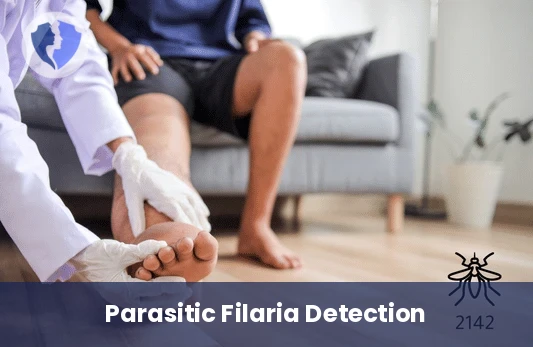 Filaria Detection Test - Filaria Blood Film Examination