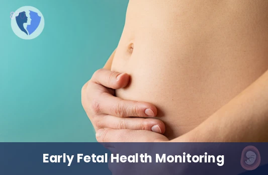 First Trimester Pregnancy Package - First Trimester Pregnancy Follow-up Package