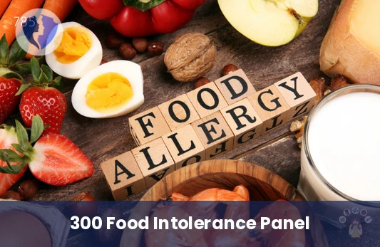 Comprehensive Food Intolerance Test - Food Intolerance Test (Food Print) - 300 Antigens