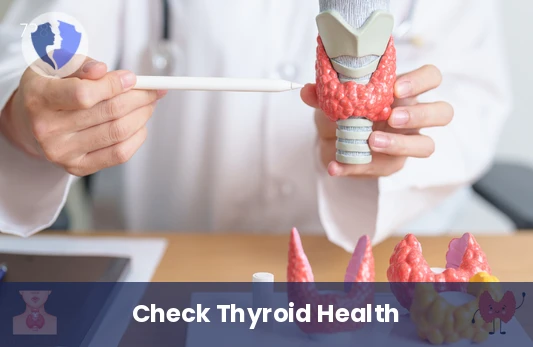 Check Your Thyroid Activity - Free Triiodothyronine (FT3) Test