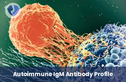 Gangliosides IgM Profile Test - Gangliosides (IgM) Profile Test