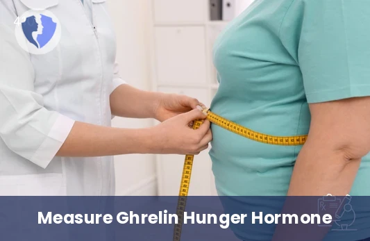 Ghrelin Hunger Hormone Test - Ghrelin Hormone Test