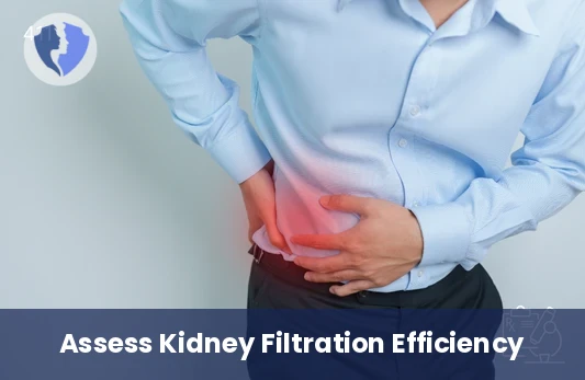 GFR Kidney Function Test - Glomerular Filtration Rate (GFR) Test