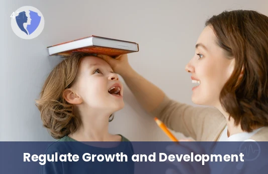 Growth Hormone Check - Growth Hormone (GH) Serum Test