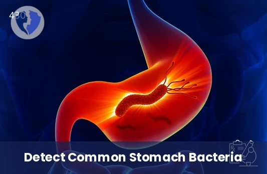 H. Pylori IgG Antibody Shield - Helicobacter pylori IgG Antibody Test