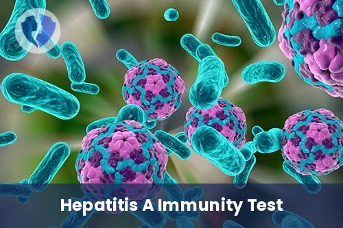 Hepatitis A Immunity Test - Hepatitis A Virus IgG Antibody Test (HAV IgG)