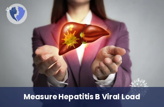Hepatitis B Viral Load Test - Hepatitis B Virus (HBV) DNA Quantitative PCR Test