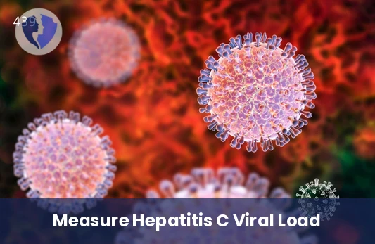 Hepatitis C Viral Load Test - Hepatitis C Virus (HCV) RNA Quantitative PCR Test