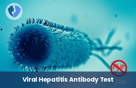 Hepatitis E Antibody Test - Hepatitis E Virus (HEV) Antibody Test