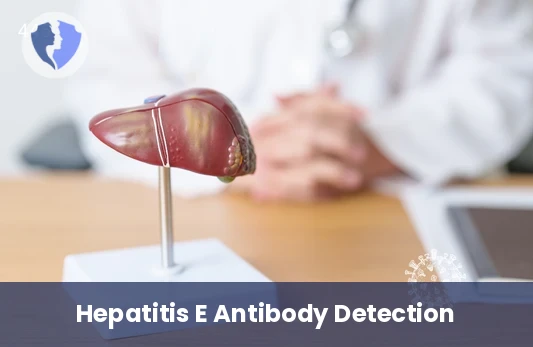 Hepatitis E Total Antibody Test - Hepatitis E Virus Total Antibody Test