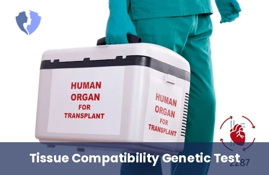 HLA Class I Typing Test - HLA Class I (A & B) Typing Test