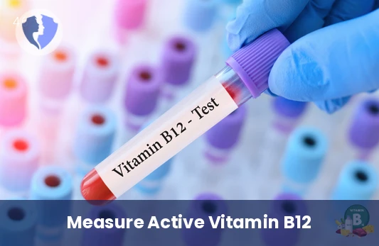 Active Vitamin Indicator - Holotranscobalamin (Active Vitamin B12) Test